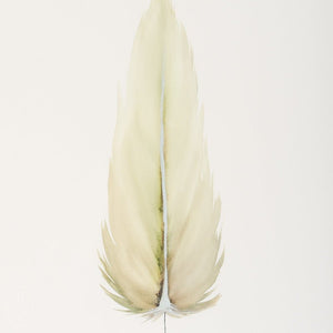 By Lacey MEDIUM FLOATED FRAMED FEATHER PAINTING - SERIES 10 NO 2