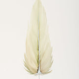 By Lacey MEDIUM FLOATED FRAMED FEATHER PAINTING - SERIES 10 NO 2