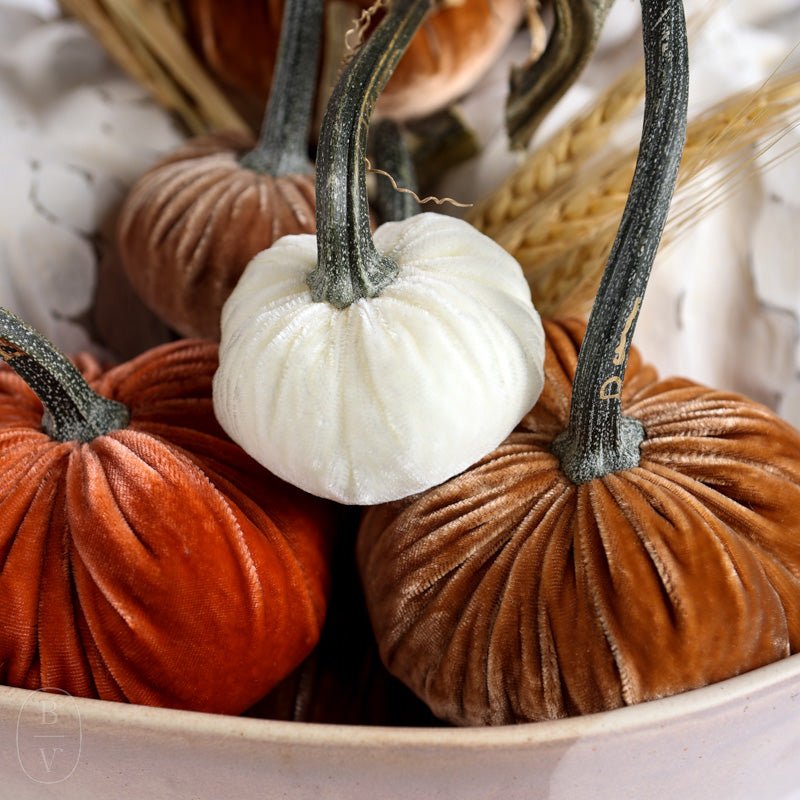 Hot Skwash SILK VELVET PUMPKIN