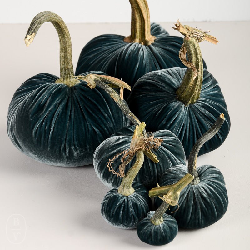 Hot Skwash SILK VELVET PUMPKIN Wedgewood