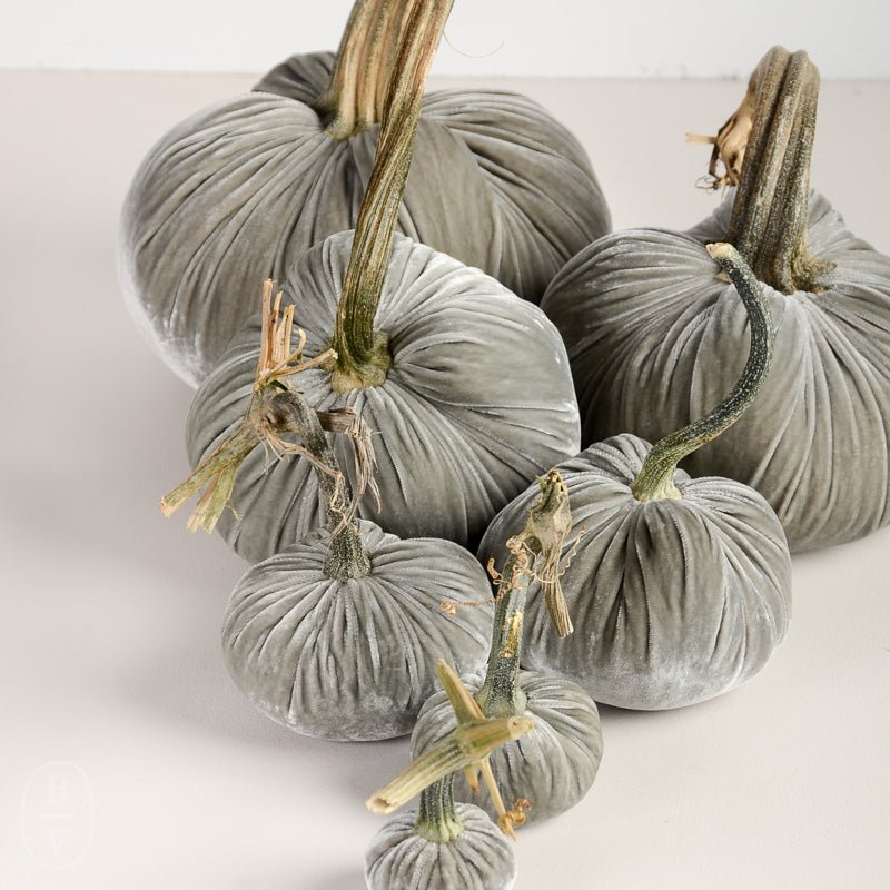 Hot Skwash SILK VELVET PUMPKIN Spa