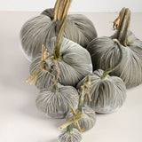 Hot Skwash SILK VELVET PUMPKIN Spa