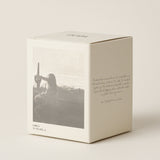 Cicada BOXED CANDLE No 5 Desert Blossoms 16 oz
