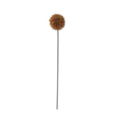 K and K Interiors ALLIUM STEM Brown