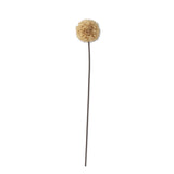 K and K Interiors ALLIUM STEM Tan 26