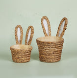 Raz Imports NATURAL BASKETWEAVE BUNNY EAR BASKET