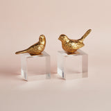 Raz Imports GOLD BIRD ON ACRYLIC BLOCK