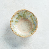 Etta B Pottery SMALL SALSA Botanical