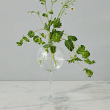 Europe 2 You WINE GLASS VASE Clear Medium