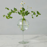 Europe 2 You WINE GLASS VASE Sage Medium