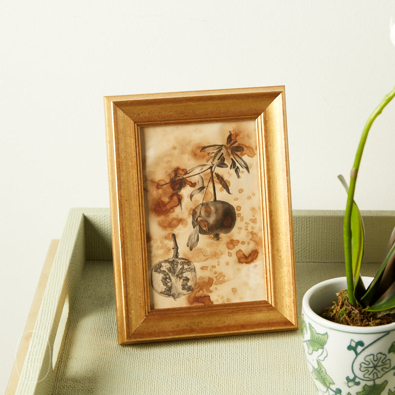 Galassi HARVARD FRAME