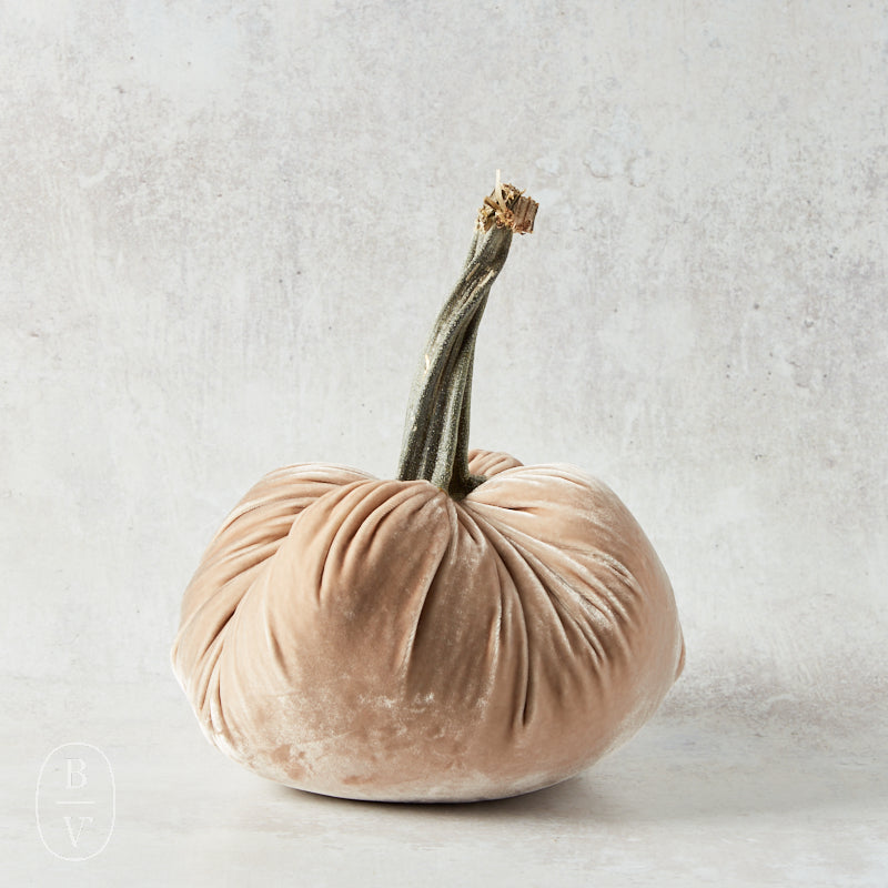 Hot Skwash SILK VELVET PUMPKIN