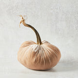 Hot Skwash SILK VELVET PUMPKIN