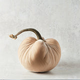 Hot Skwash SILK VELVET PUMPKIN