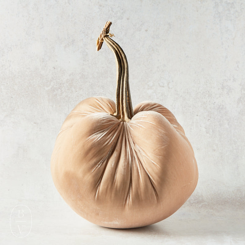 Hot Skwash SILK VELVET PUMPKIN