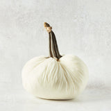 Hot Skwash SILK VELVET PUMPKIN Ivory 10"