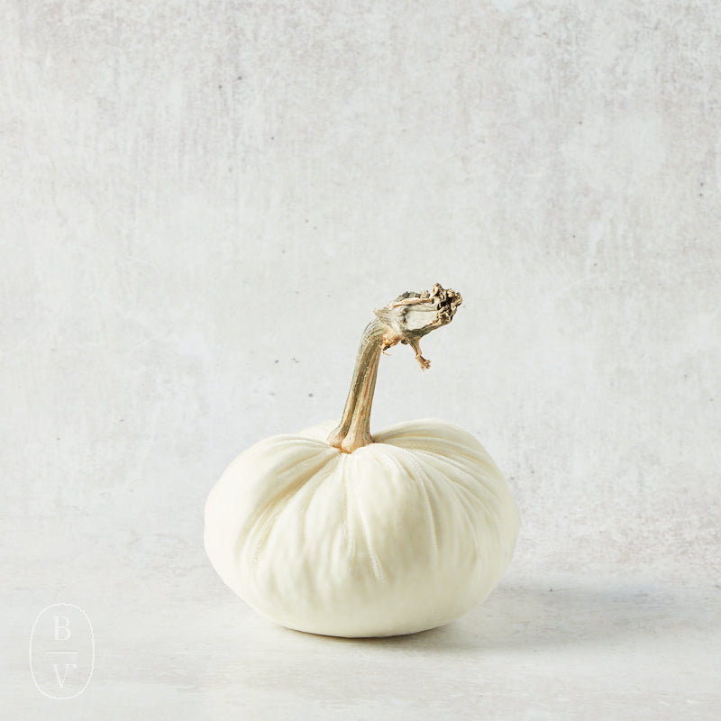 Hot Skwash SILK VELVET PUMPKIN Ivory 5