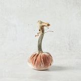 Hot Skwash SILK VELVET PUMPKIN