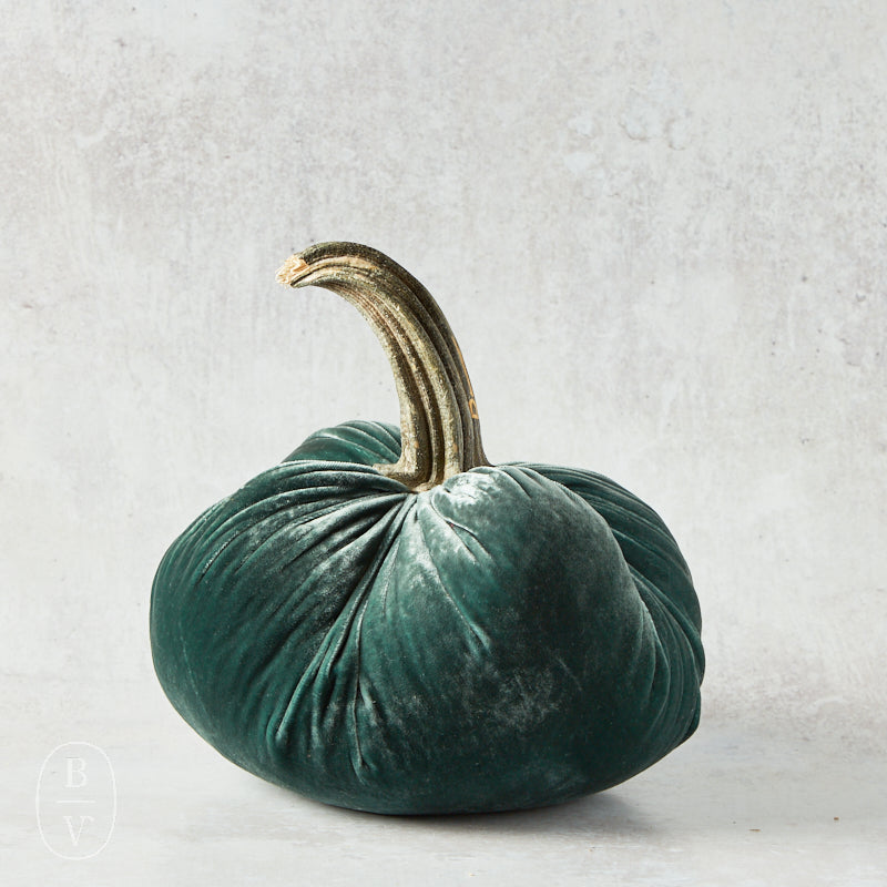 Hot Skwash SILK VELVET PUMPKIN