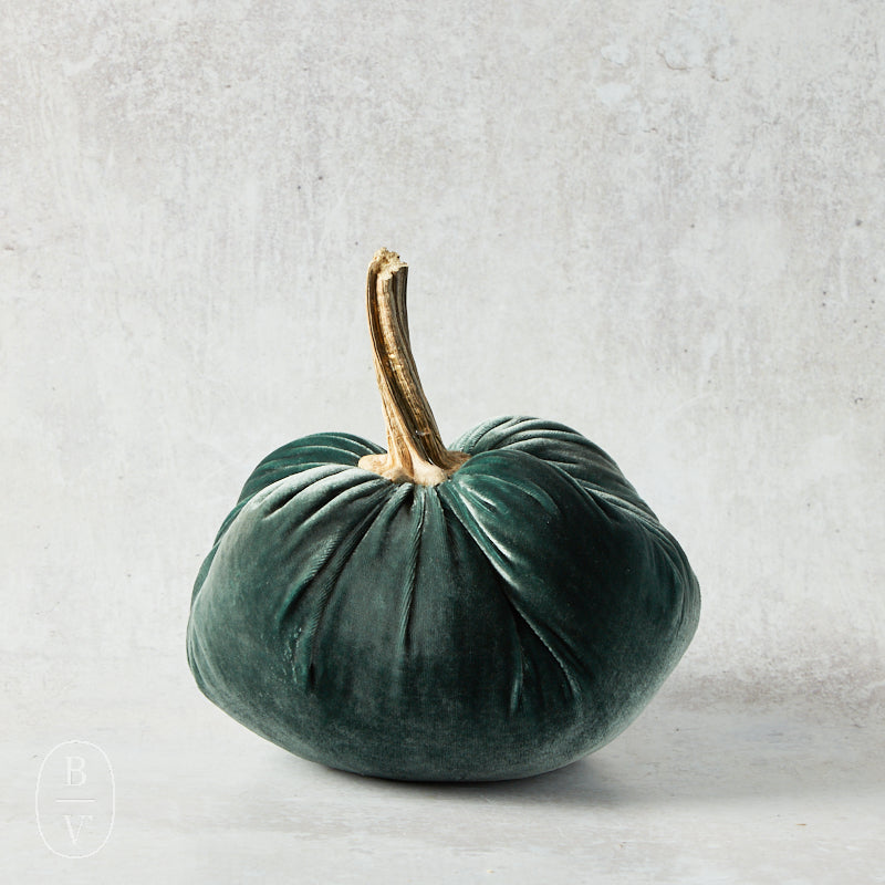 Hot Skwash SILK VELVET PUMPKIN