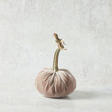 Hot Skwash SILK VELVET PUMPKIN