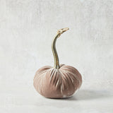 Hot Skwash SILK VELVET PUMPKIN