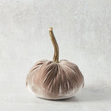 Hot Skwash SILK VELVET PUMPKIN