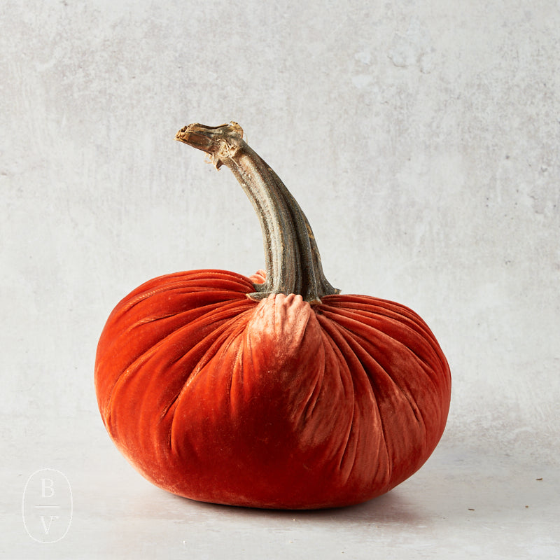 Hot Skwash SILK VELVET PUMPKIN