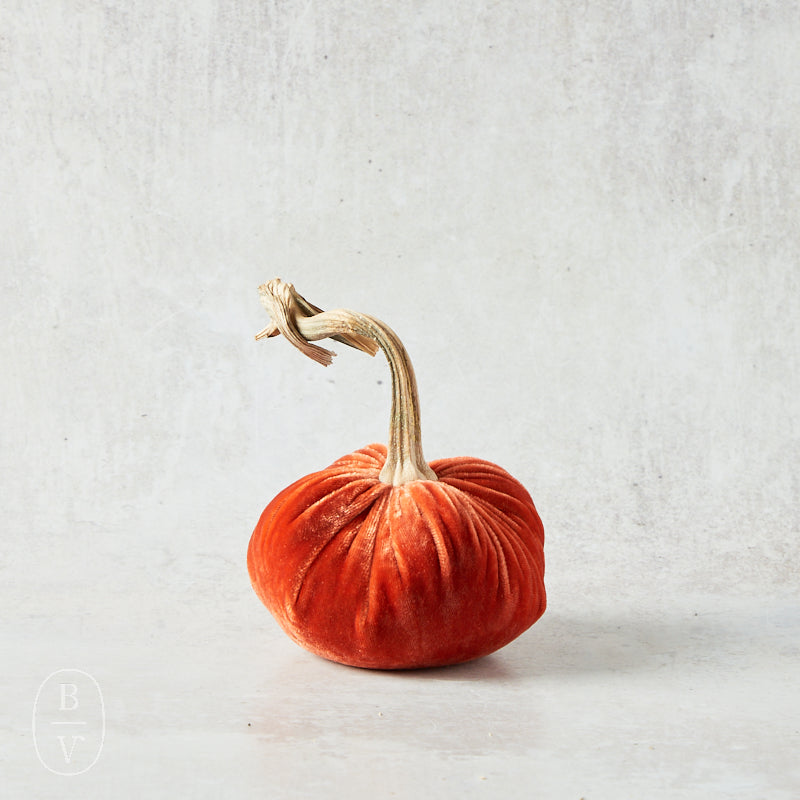 Hot Skwash SILK VELVET PUMPKIN