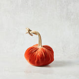 Hot Skwash SILK VELVET PUMPKIN