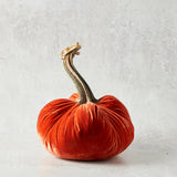 Hot Skwash SILK VELVET PUMPKIN