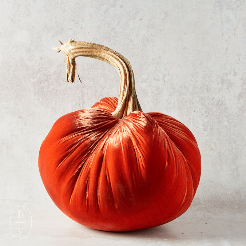 Hot Skwash SILK VELVET PUMPKIN