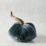 Hot Skwash SILK VELVET PUMPKIN Wedgewood 10"