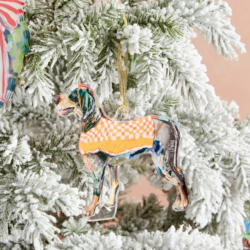 Lauren Dunn ACRYLIC MASCOT ORNAMENT