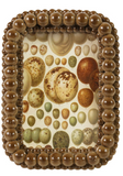 Creative Co-op DOUBLE RESIN BALL PHOTO FRAME Cocoa 4x6