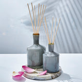 Lafco GLASS VESSEL REED DIFFUSER Sea and Dune
