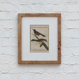 Creative Co-op BURL WOOD VENEER WHITE MAT FRAME