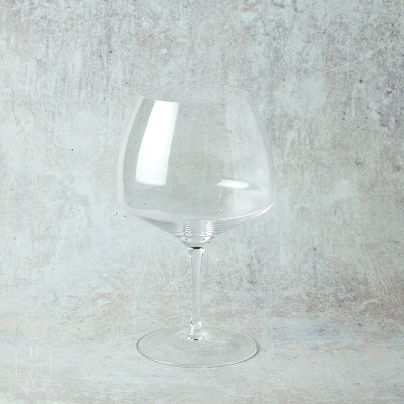 Casafina by Costa Nova VITE BURGUNDY GLASS Clear