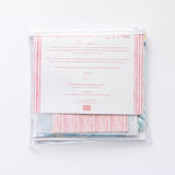 BLUE ANGEL BEGINNER NEEDLEPOINT KIT