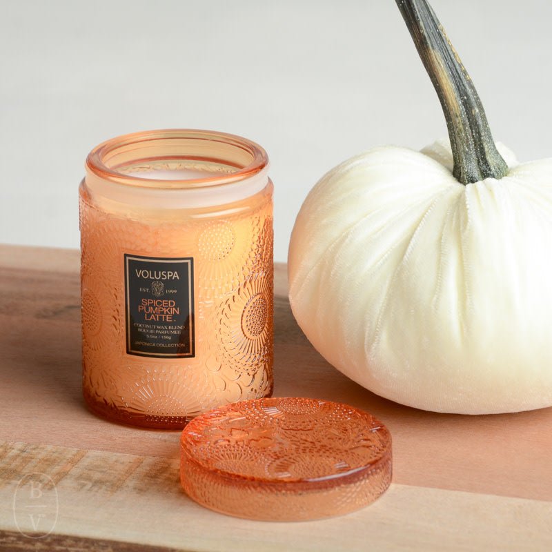 Voluspa SEASONAL EMBOSSED JAR CANDLE