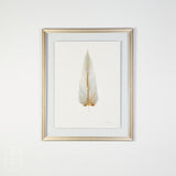 By Lacey MEDIUM FLOATED FRAMED FEATHER SERIES 12 NO 4