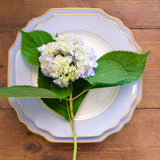 Pickard China PICKARD GEORGIAN COLORSHEEN CHARGER