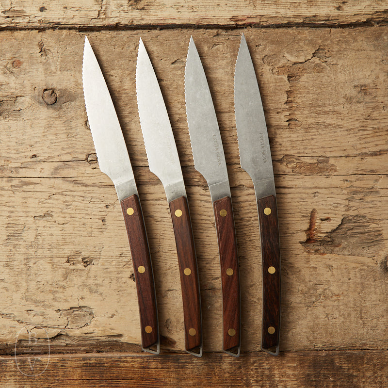 Casafina by Costa Nova SET OF 4 STEAK KNIVES Vintage Matte