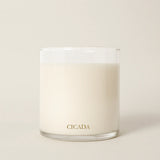 Cicada BOXED CANDLE