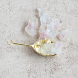Creative Co-op GOLD STAINLESS STEEL SCOOP
