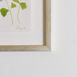 Lindsay Von FRAMED BOTANICALS 5