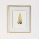 By Lacey SMALL FRAMED FLOATED FEATHER PAINTING - SERIES 11 NO 4