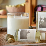 Cicada BOXED CANDLE