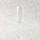 Casafina by Costa Nova ISABEL FLUTE GLASS Clear