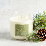 Southern Soy Scents LLC SEASONAL SOUTHERN SOY CANDLE